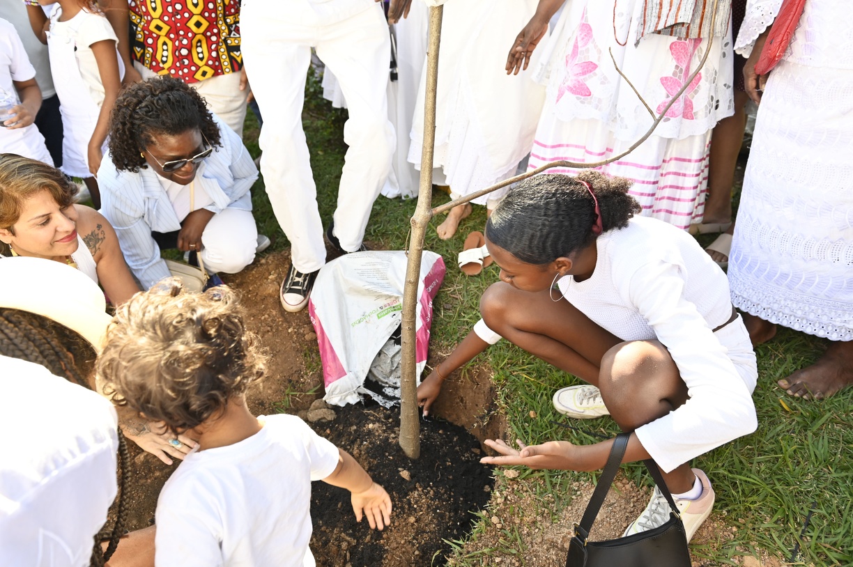 O baobá é considerado como árvore-símbolo da cultura africana 