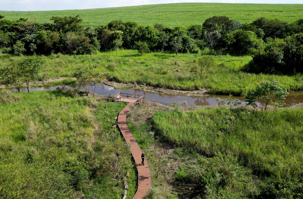 O local possui uma estrutura que lembra o bioma do Pantanal Mato-Grossense