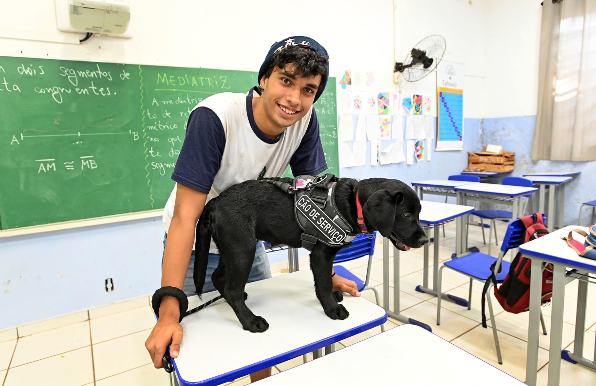 Lady será o primeiro cão de serviço a atuar em uma escola