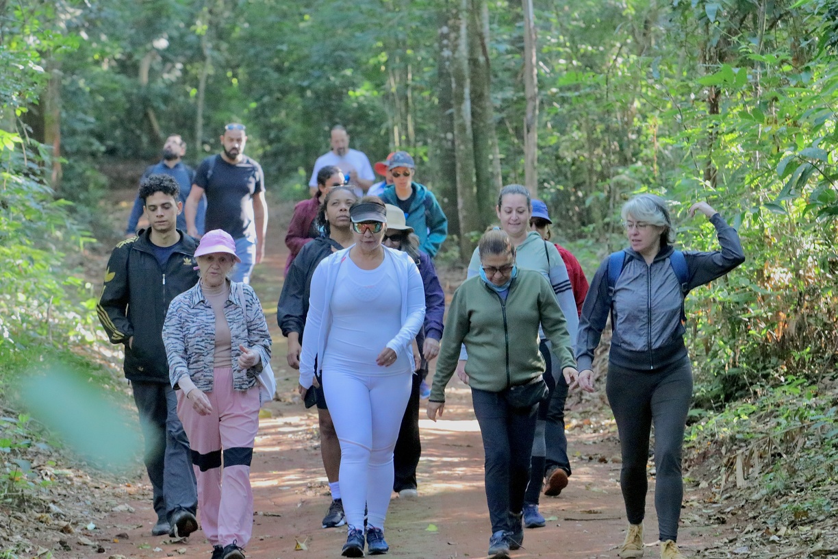 Semana do Meio Ambiente inaugurada com trilha de 5 km pela Mata de Santa Genebra