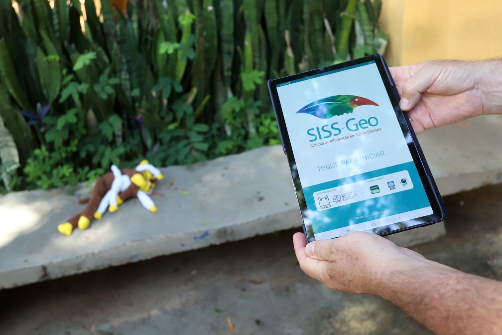 Fernanda Sunega  O SISS-Geo é um sistema da Fundação Oswaldo Cruz