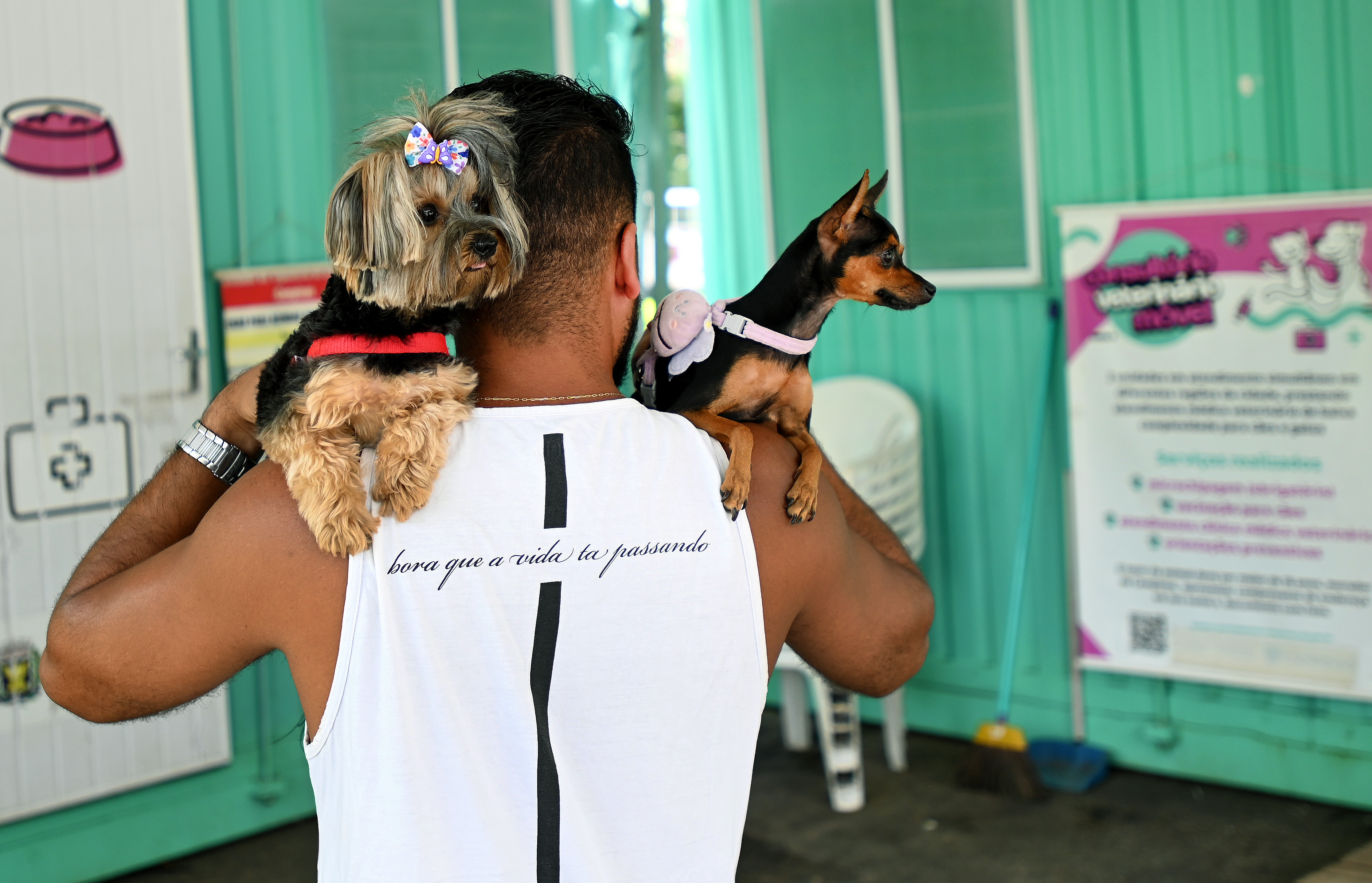 O atendimento no Consultório Veterinário Móvel é gratuito e ocorre por ordem de chegada, com distribuição de senhas