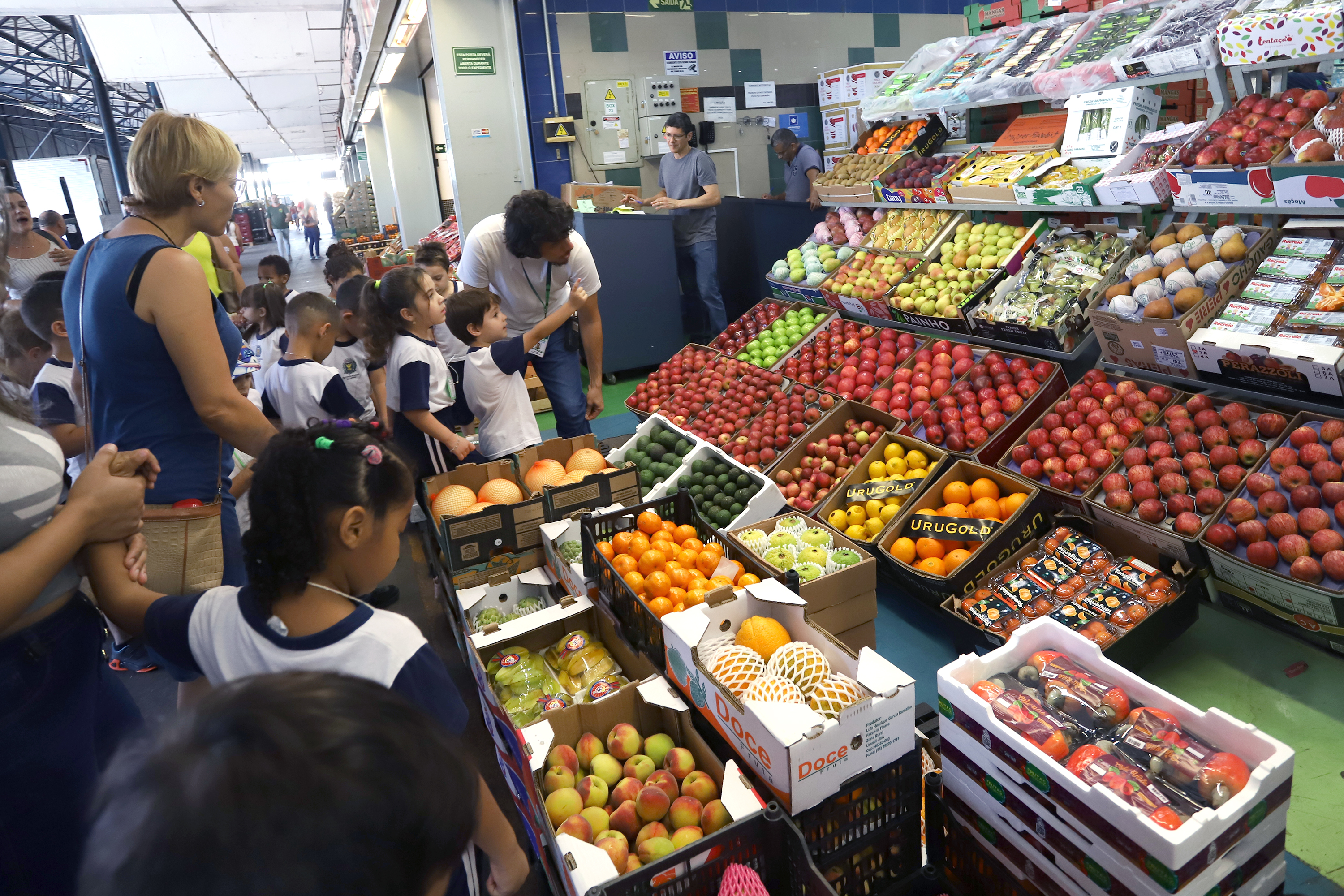 Alunos têm contato com diversos tipos de alimentos nas bancas do Mercado de Hortifrútis