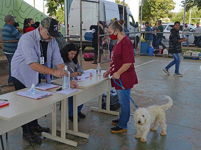  Cirurgias serão realizadas de 22 a 26 de abril; só passam pelo procedimento os animais que tenham sido previamente cadastrados