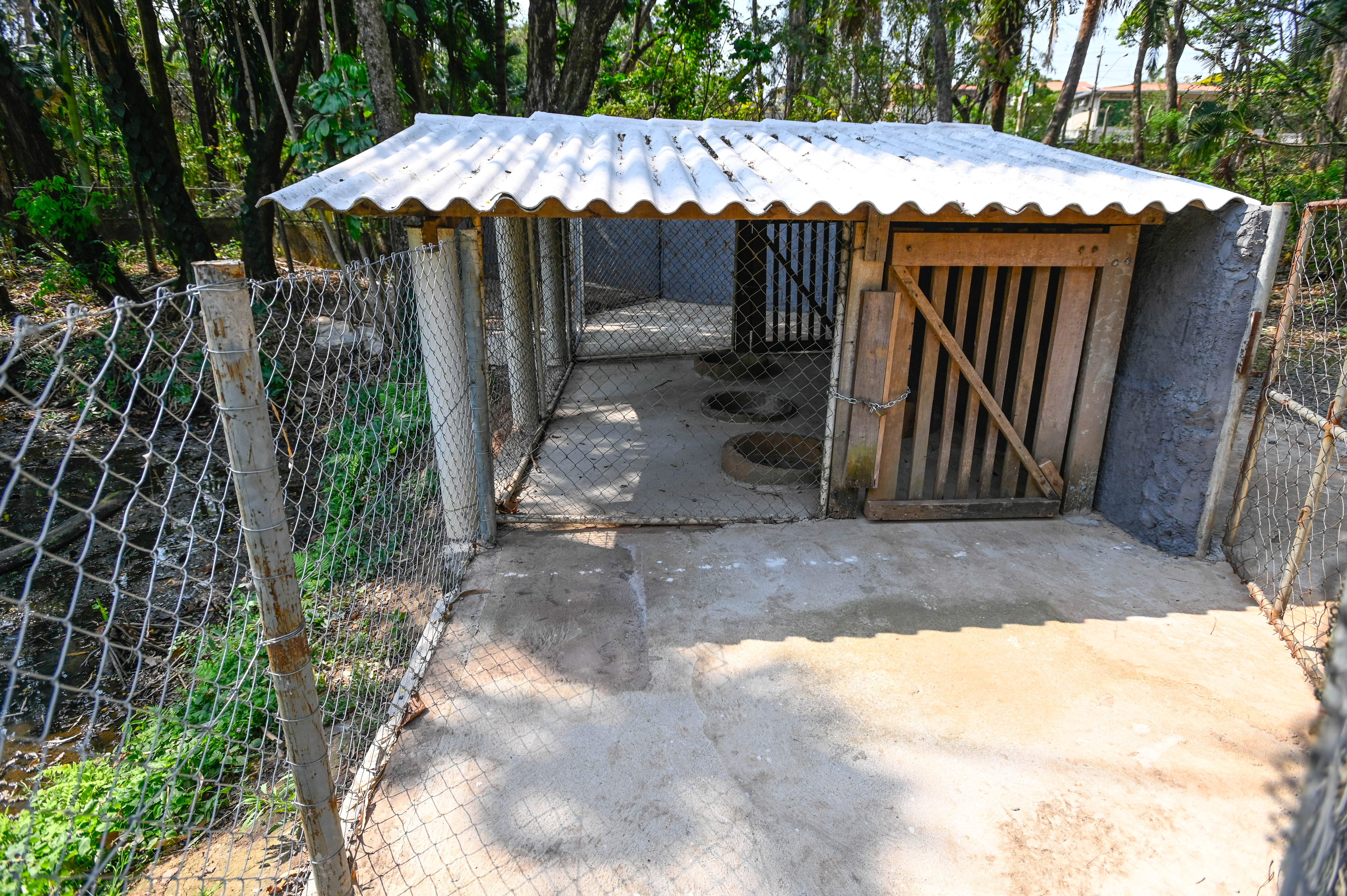 Cento de Manejo onde capivaras passarão por procedimentos foi preparado na Lagoa do Taquaral