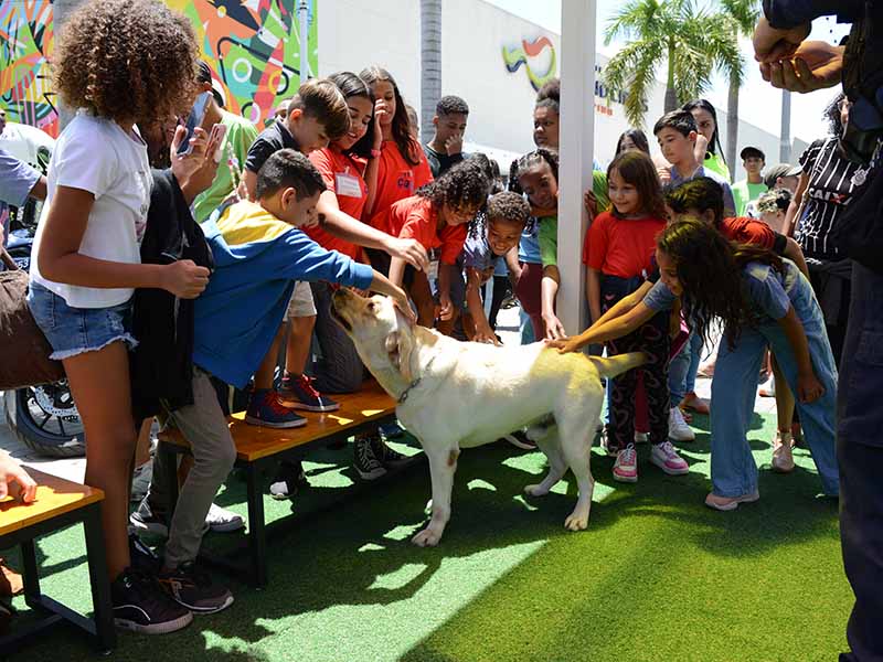 Cães da GM fizeram sucesso