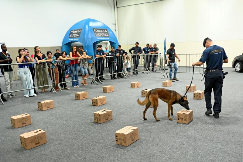 Trinta cães de 19 cidades participaram da competição 