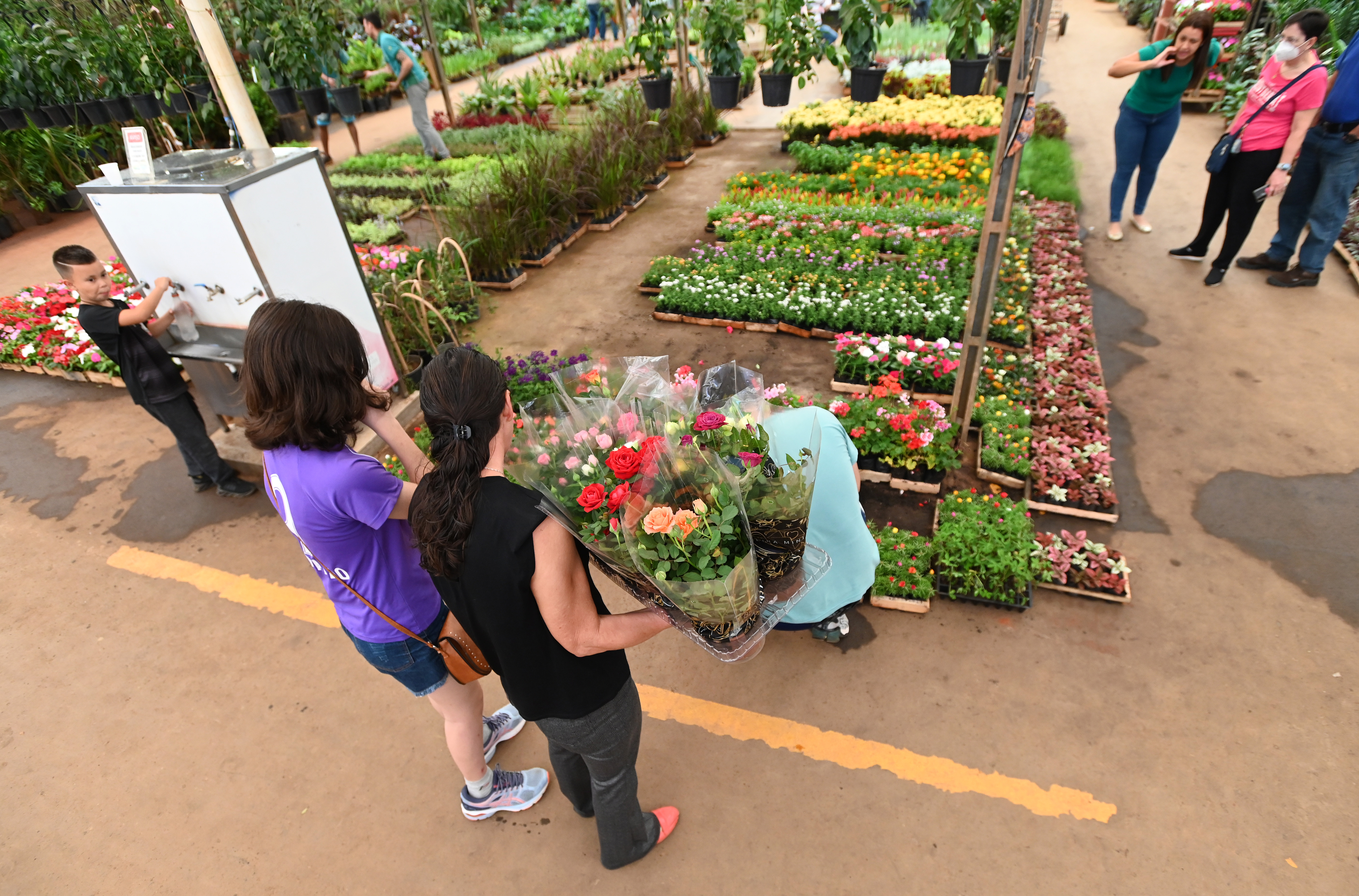 O Mercado de Flores, Plantas Ornamentais e Acessórios da Ceasa Campinas tem vagas para novos permissionários