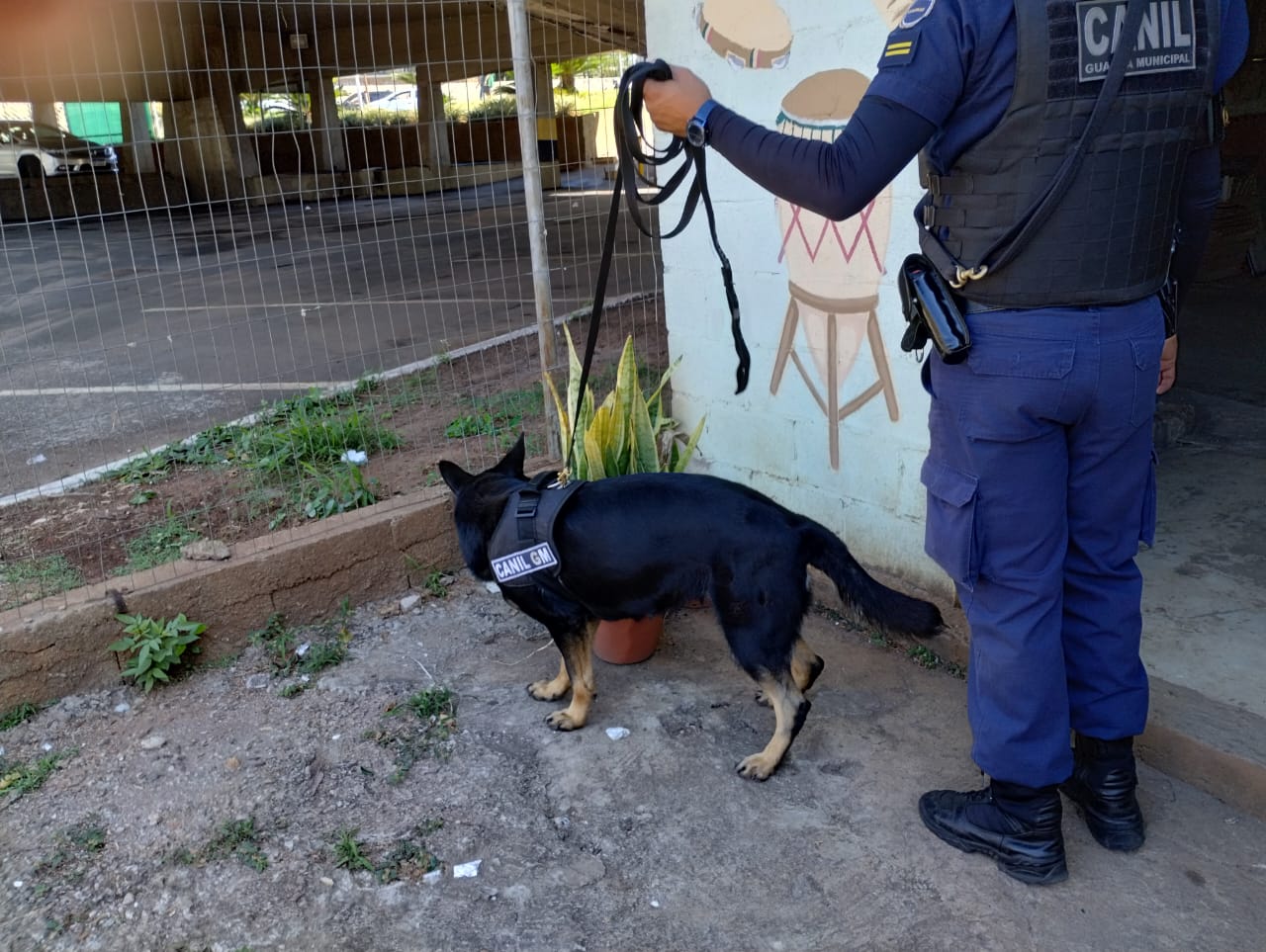 Cães da GM estiveram na operação