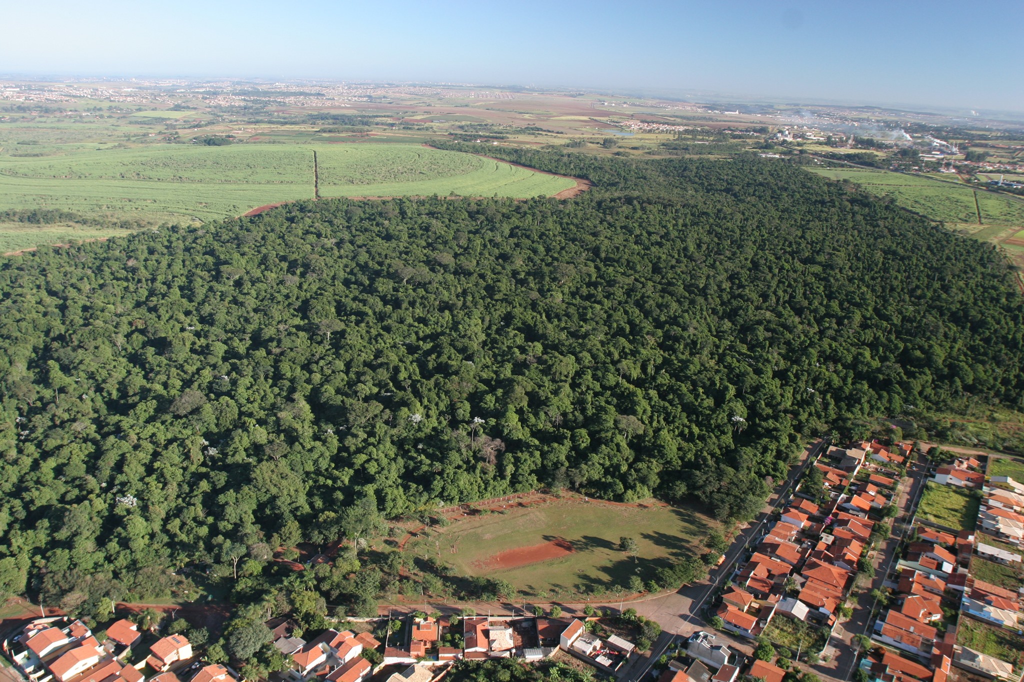 A Mata de Santa Genebra é uma área de preservação e relevante interesse ecológico