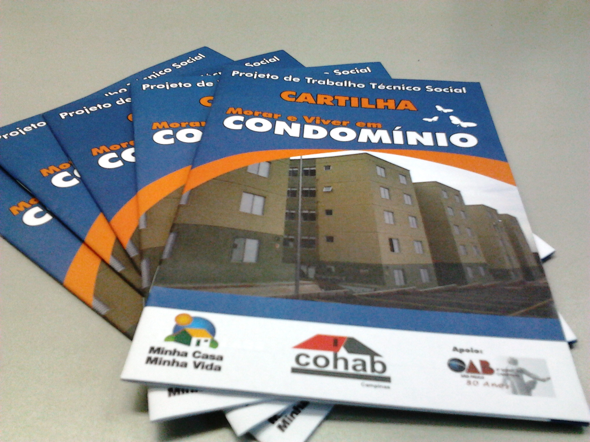 Foto mostra capa das cartilhas