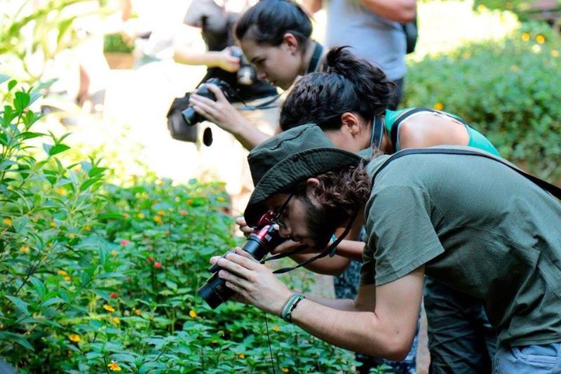 Observação da natureza é a regra na Mata de Santa Genebra