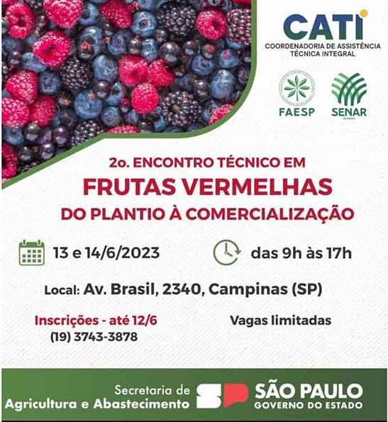 Curso será no auditório da Cati Campinas, no Jardim Chapadão