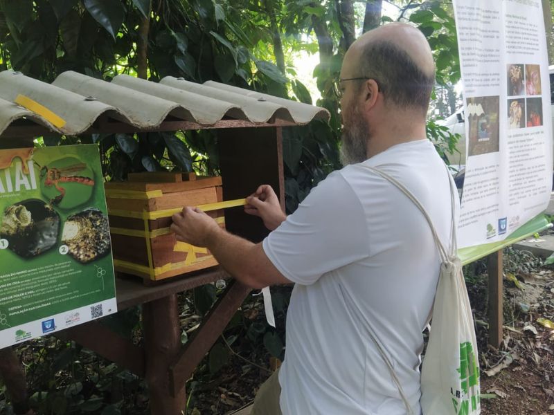 Colmeia de abelhas jataí foi instalada na pracinha central do Bosque dos Jequitibás