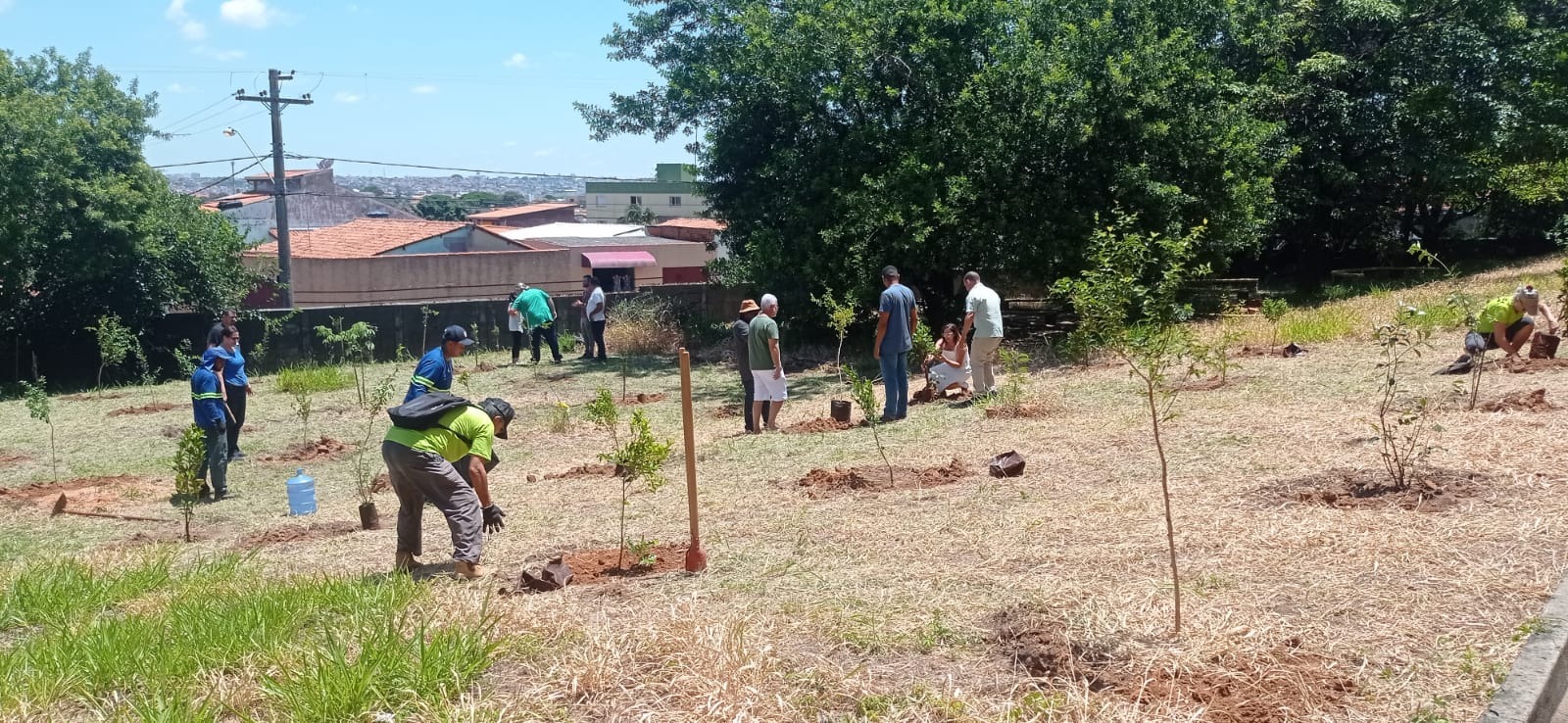 Escola recebeu o plantio de 50 mudas de árvores frutíferas