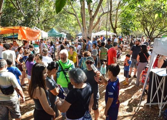 Atividades marcam celebração do aniversário da Mata e da cidade