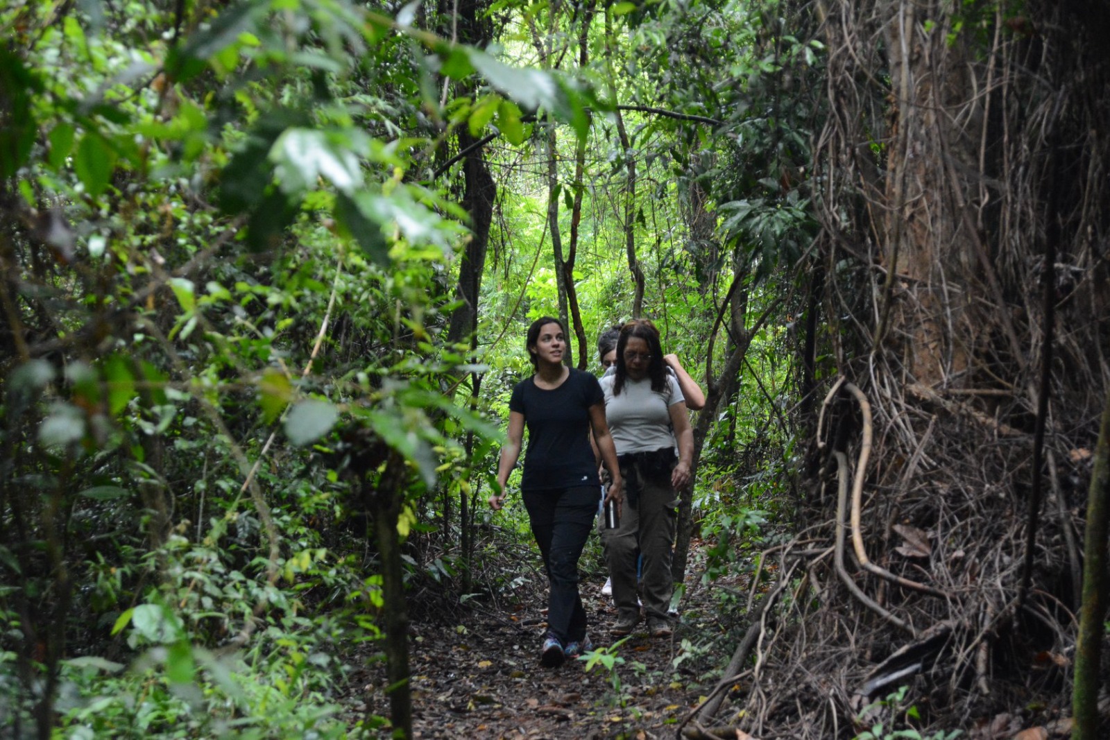 Oportunidade de estagiar em uma unidade de conservação ambiental