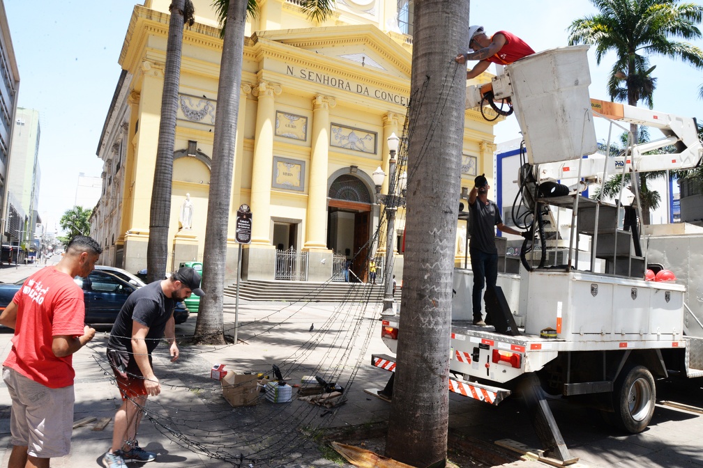 Luzes já foram instaladas nas palmeiras da Praça da Catedral