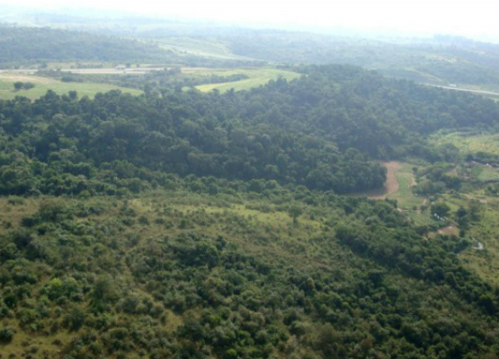 Região da APA do Campo Grande