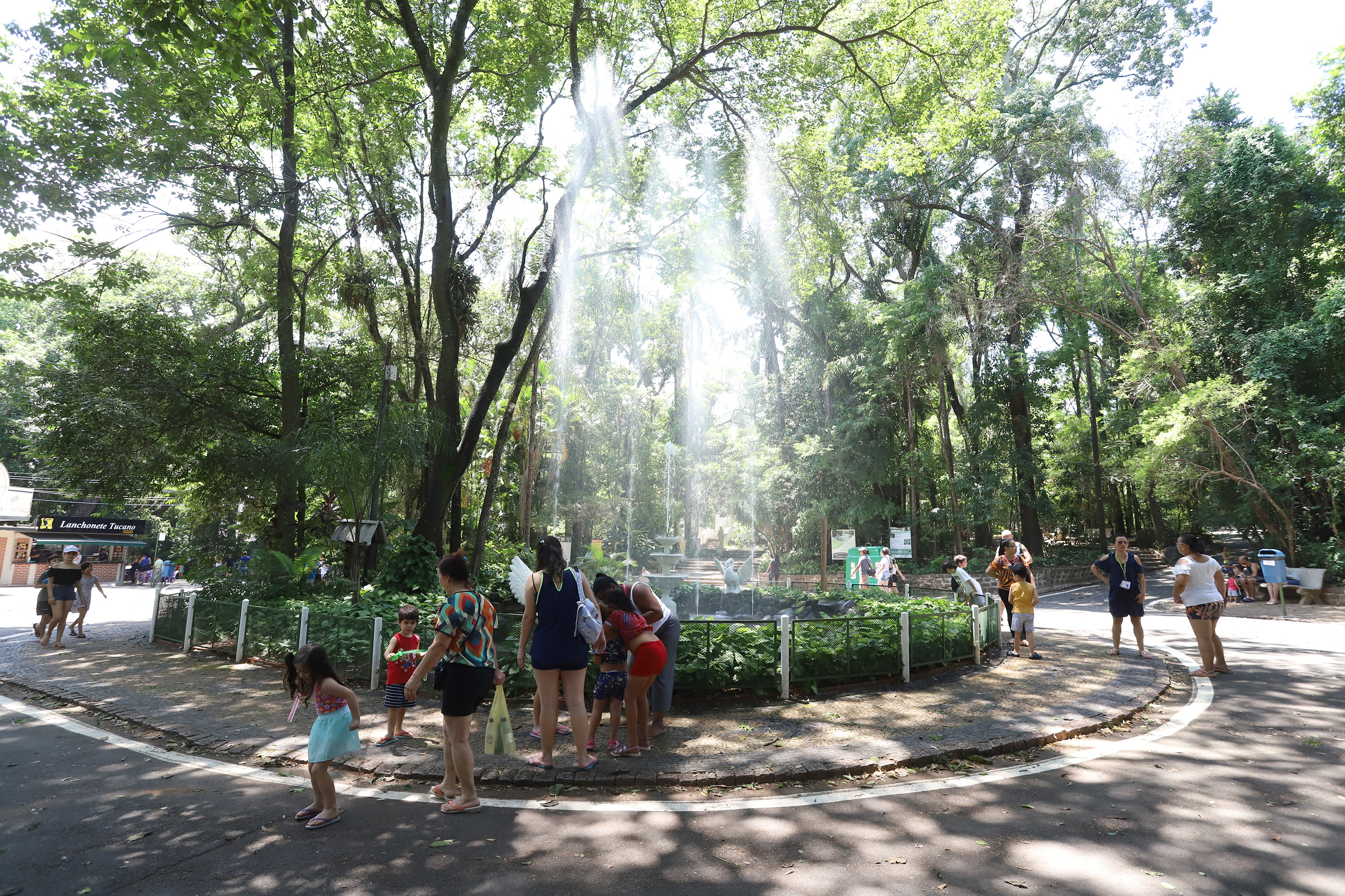 Bosque dos Jequitibás é um dos parques que será fechado neste sábado, 18