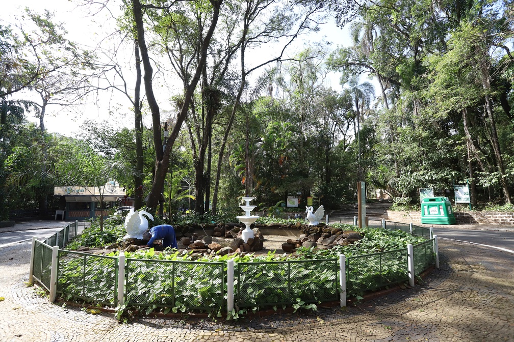 Bosque dos Jequitibás é um dos passeios tradicionais da cidade