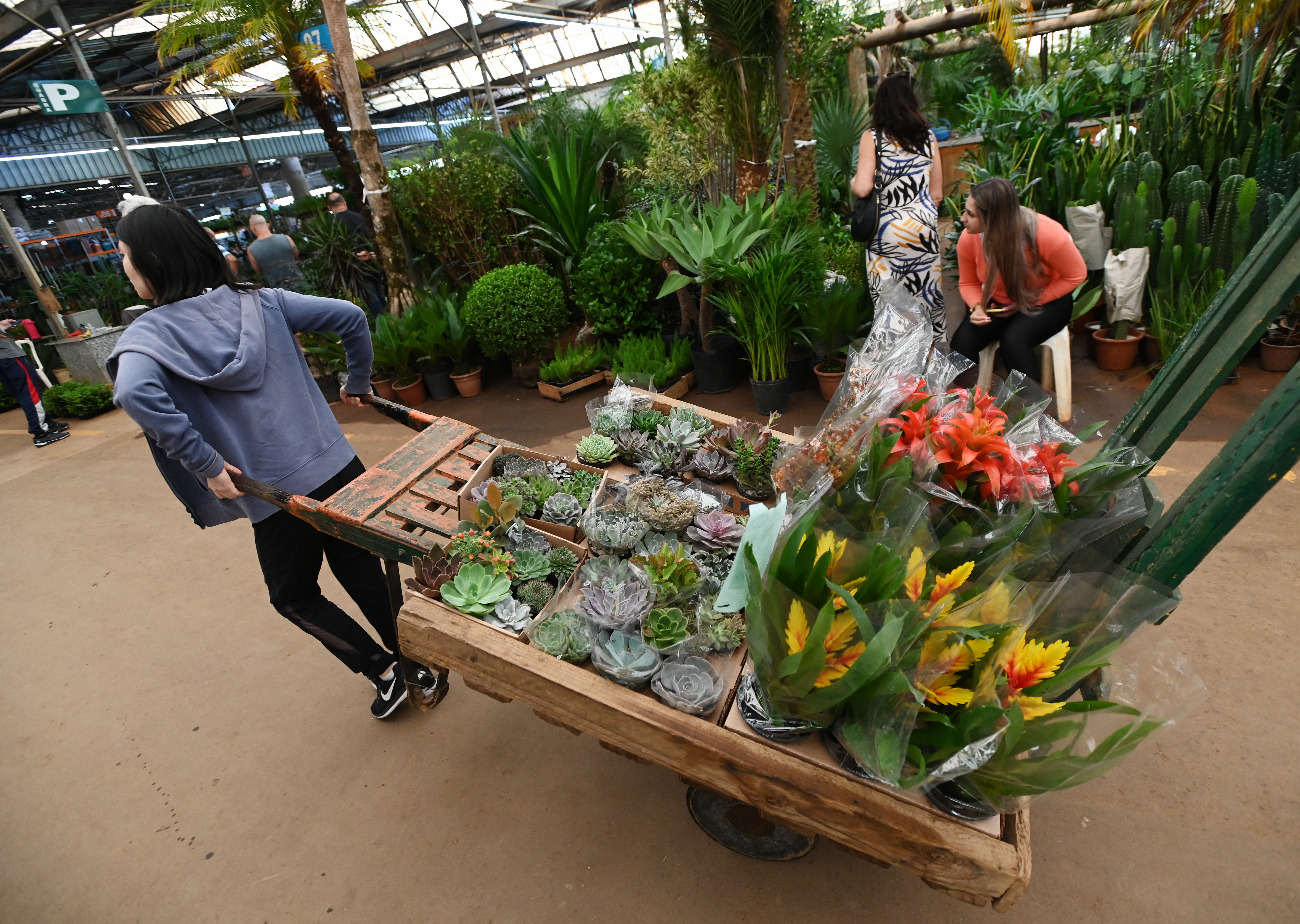 Mercado de Flores funciona no Ceasa Campinas