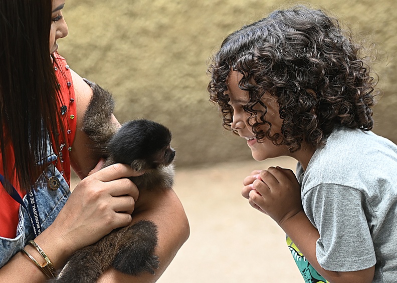 Visitantes podem acompanhar os animais tomarem os gelados 