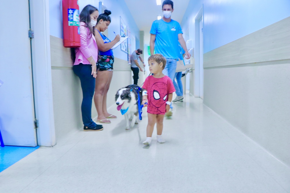 Teve paciente que levou o cão terapeuta para passear