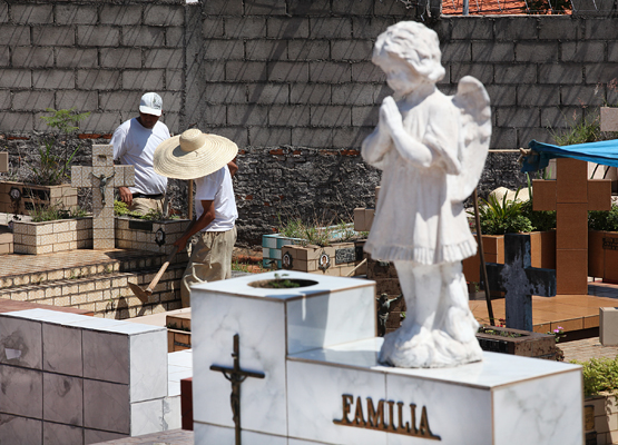 Cemitério da Saudade também se previne contra a dengue