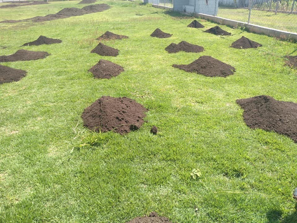 Campo dos Trabalhadores durante serviço de recuperação