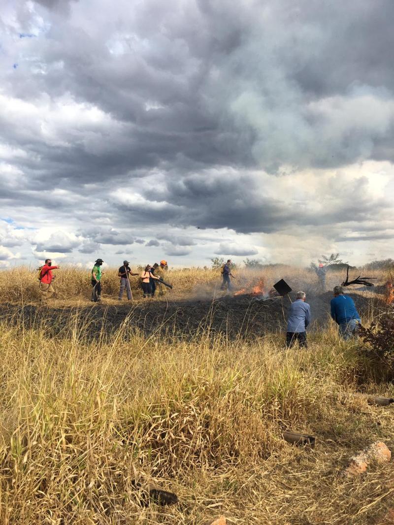 Operação monitora e combate focos de incêndio