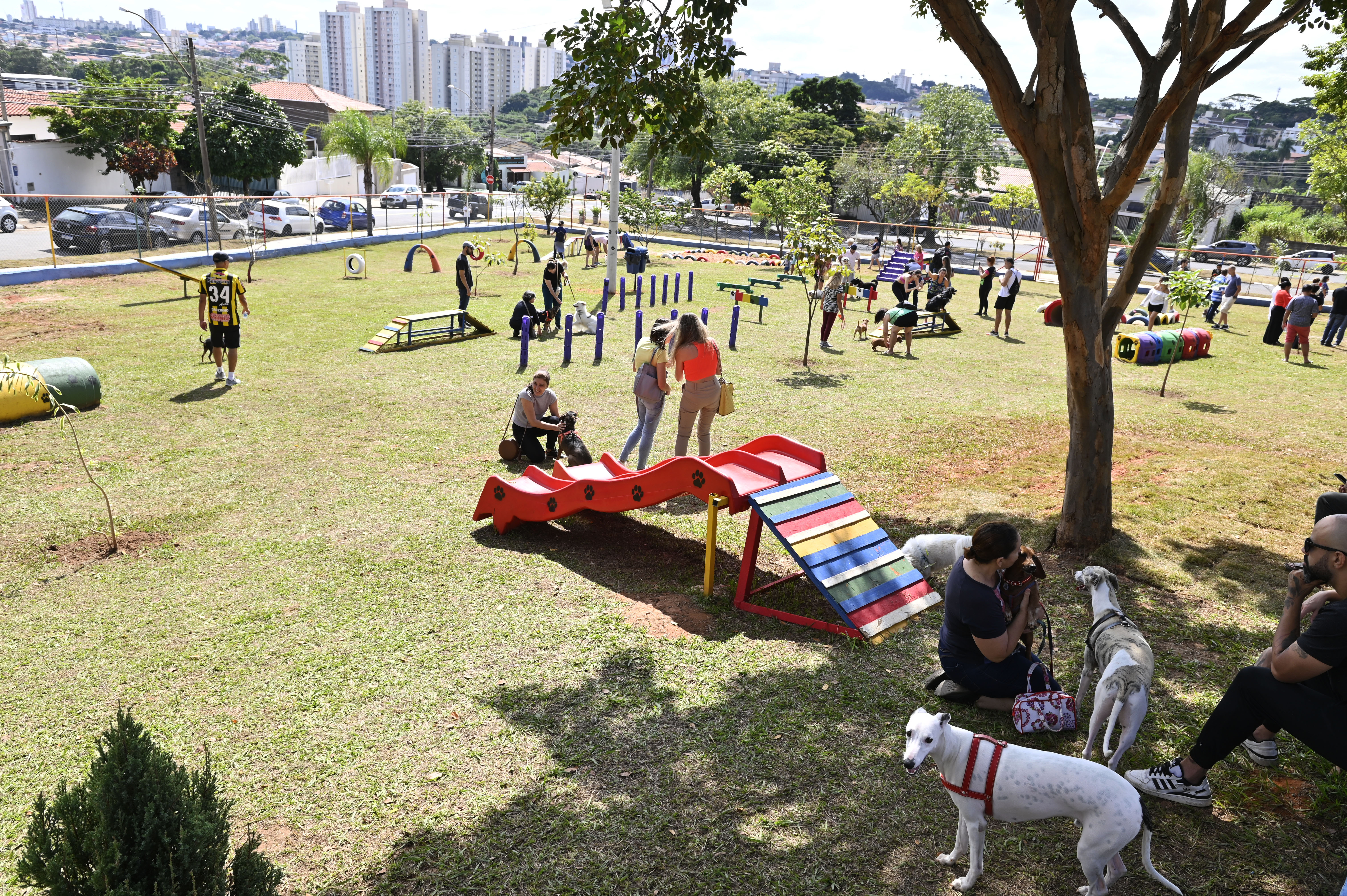 Parcão no Jardim Nova Europa: espaço cercado por alambrado, com equipamentos de lazer para os cães e bicos de água