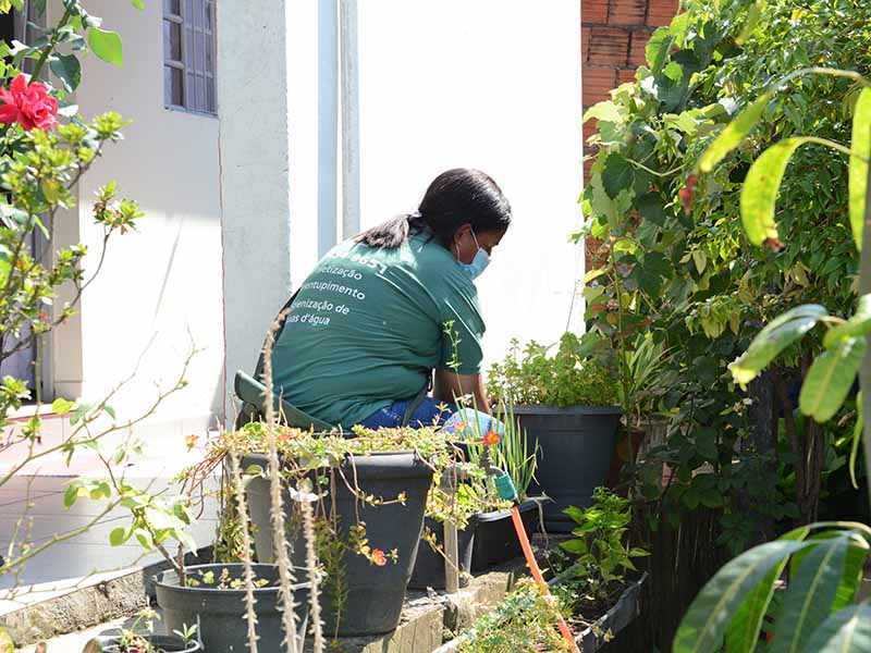 Equipes realizaram o controle de criadouros em residências