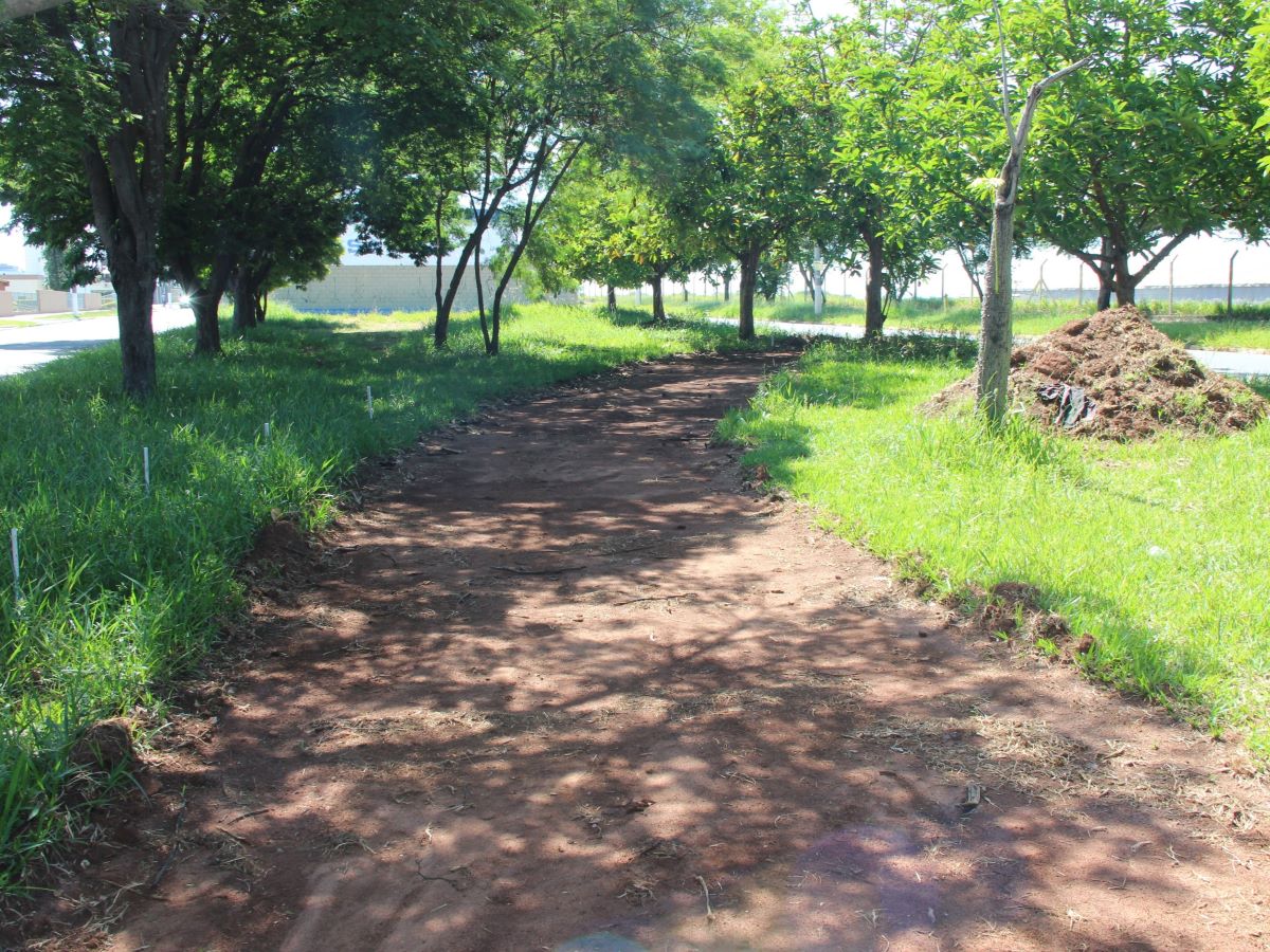 Campinas ultrapassou os 100 km de rotas cicloviárias em 2023