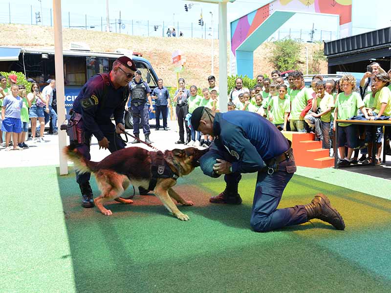 Show dog mostrou bravura dos K9