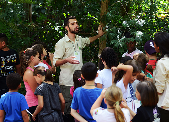 Monitores vão explicar características da floresta