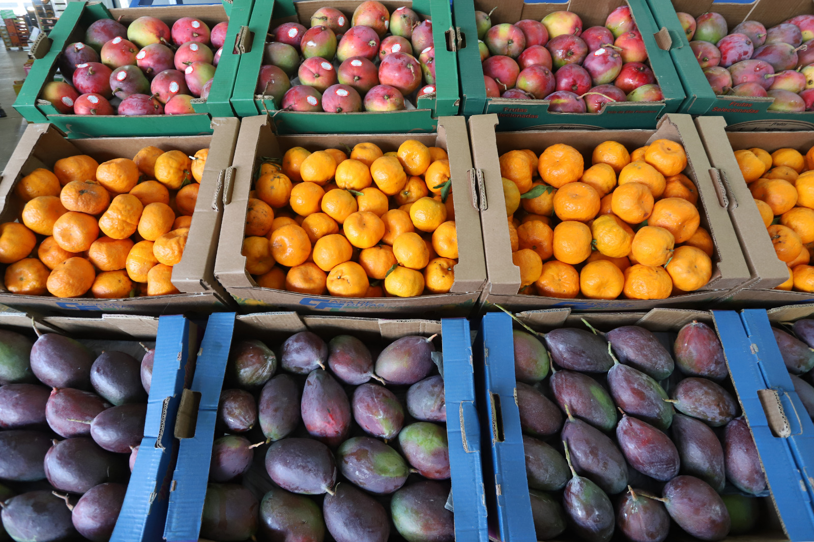 Frutas estão entre as opções de alimentos indicados pelas nutricionistas da Ceasa Campinas