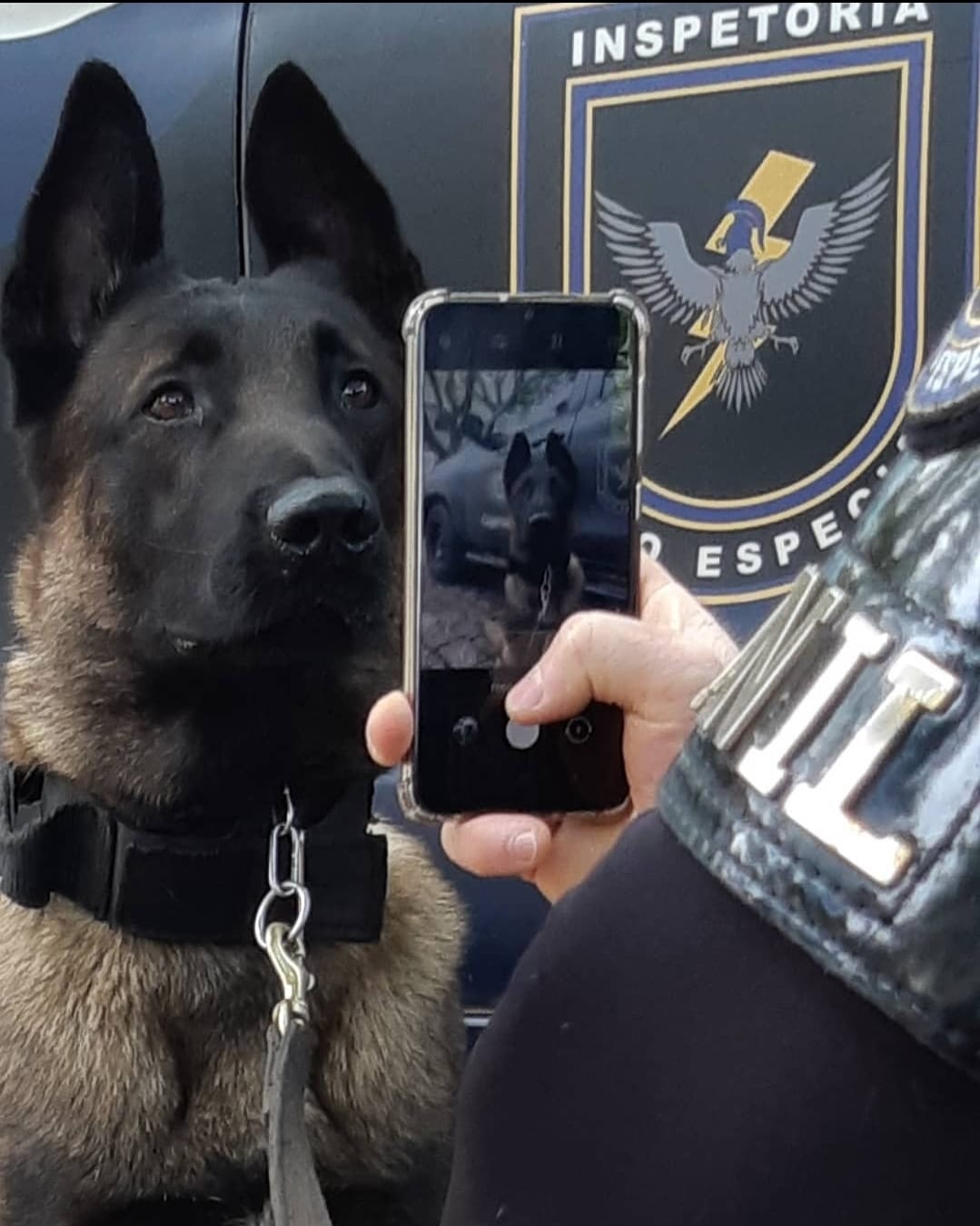 Naruk era um cão policial completo e sempre pronto para entrar em ação