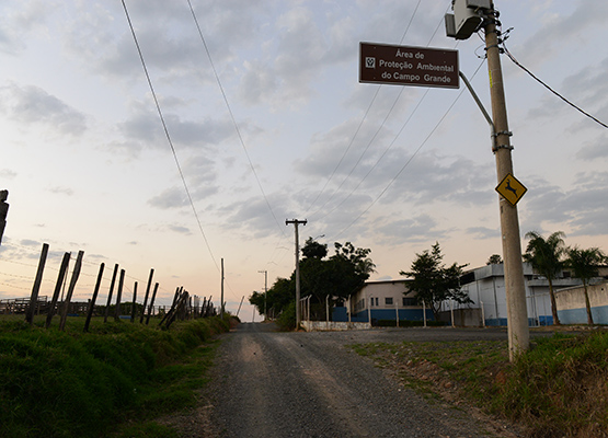 APA do Campo Grande, em Campinas