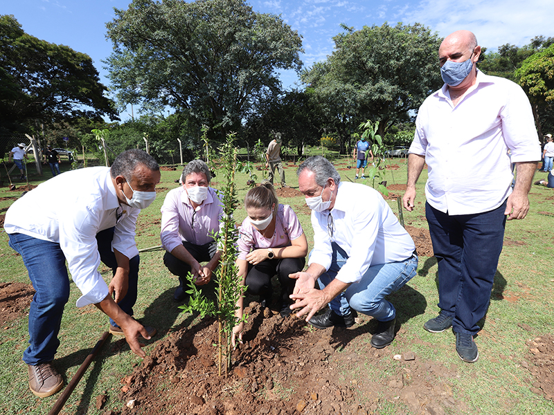 Plantios de mudas de espécies nativas e frutíferas da Mata Atlântica foram feitos em diversos locais