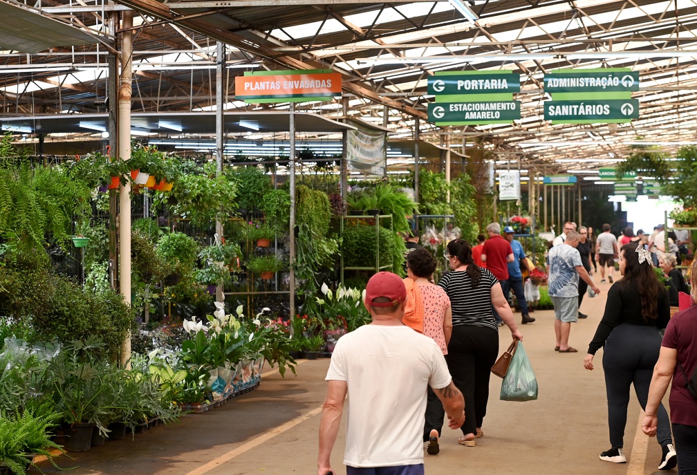 Mercado das Flores da Ceasa Campinas é opção para quem gosta de plantas