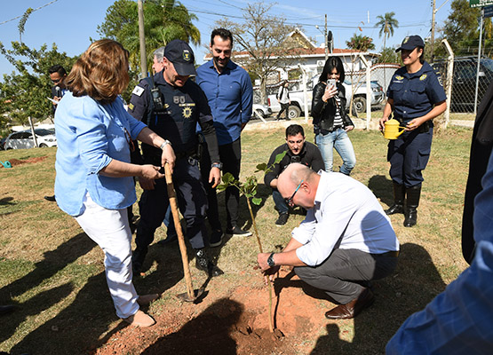 Prefeito plantou um ipê rosa no local