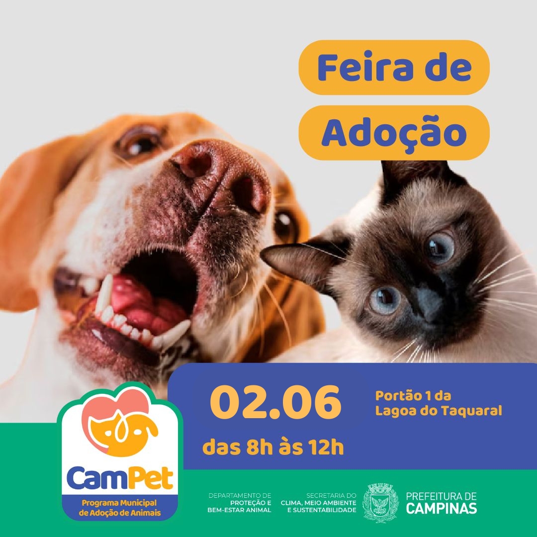 Feira visa aproximar os pets de seus possíveis tutores