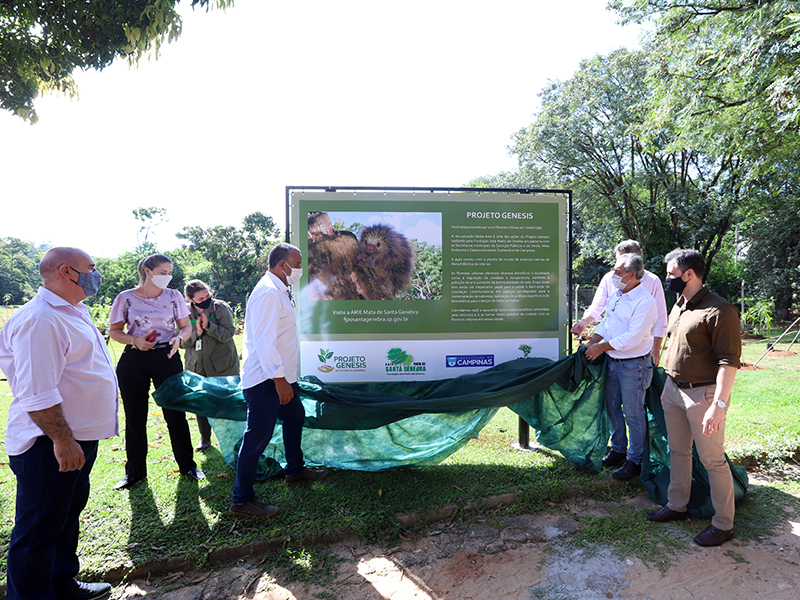 Projeto Gênesis - Construtores de Florestas Urbanas: vários parceiros