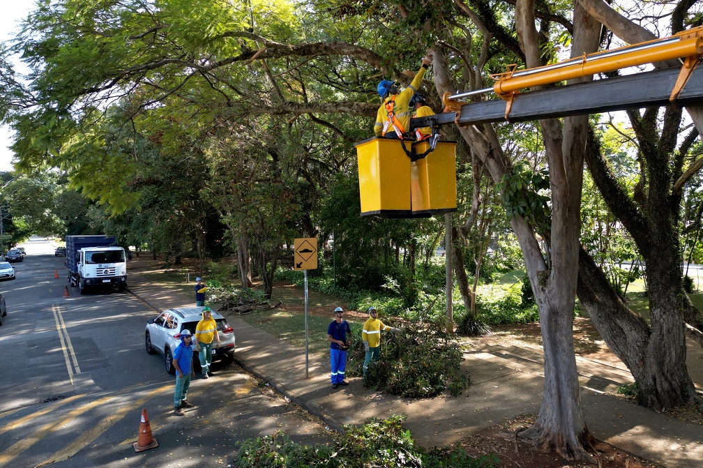 Previsão é chegar a 13 equipes no efetivo da arborização de Campinas até 13 de maio