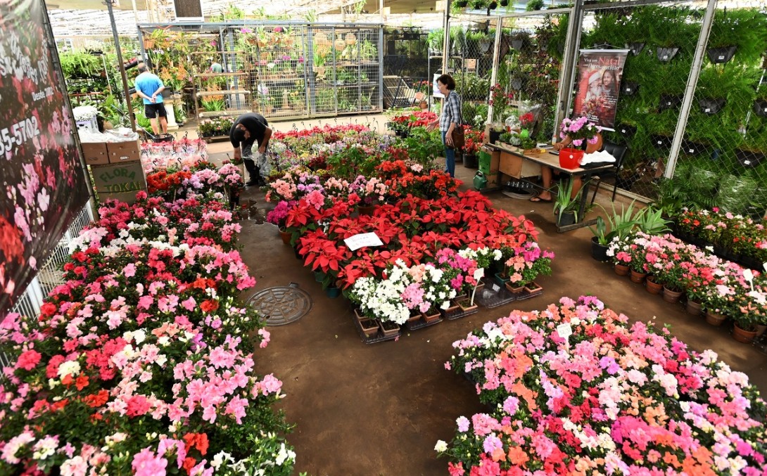 Participação do Mercado de Flores da Ceasa no evento reforça rede de relacionamentos no setor 