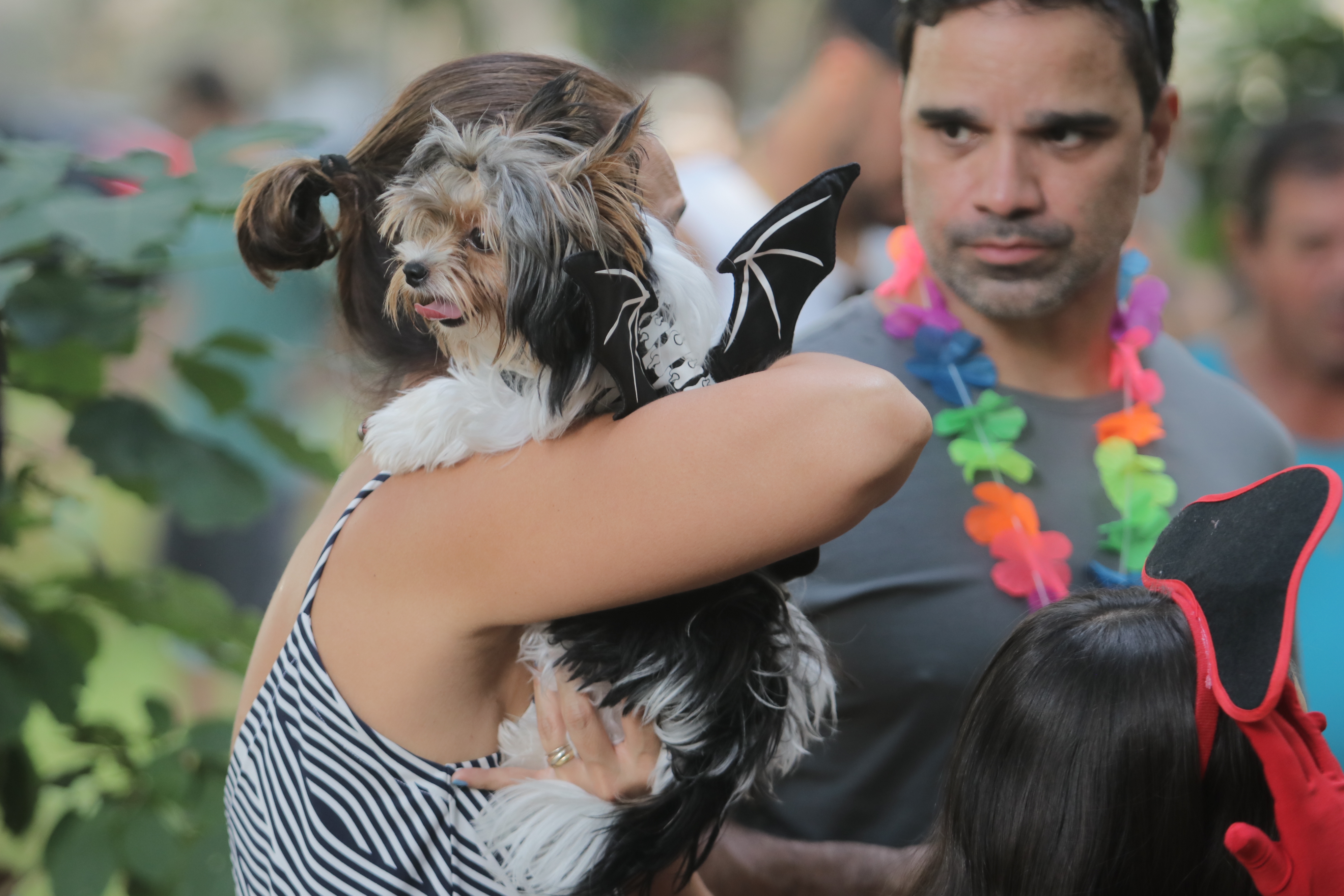 Pets também podem aproveitar a folia