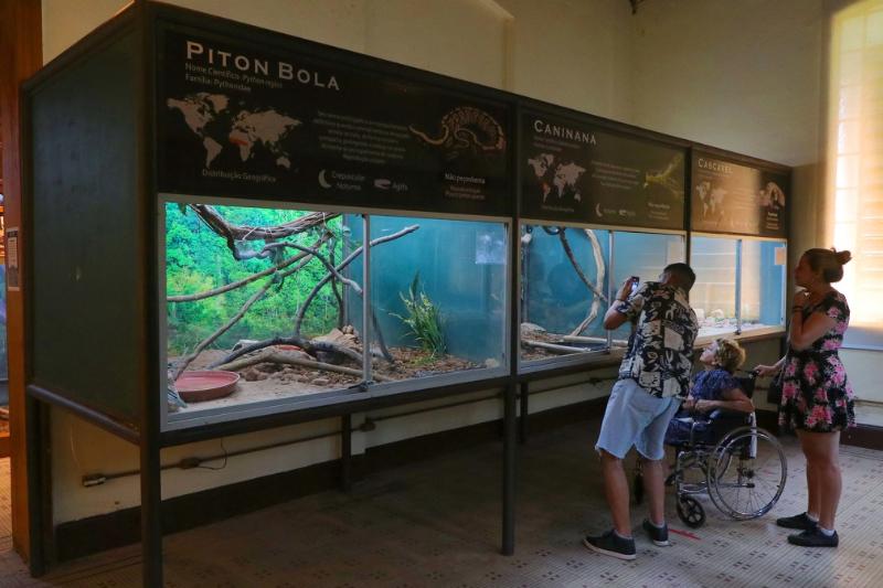 Terrário garante observação