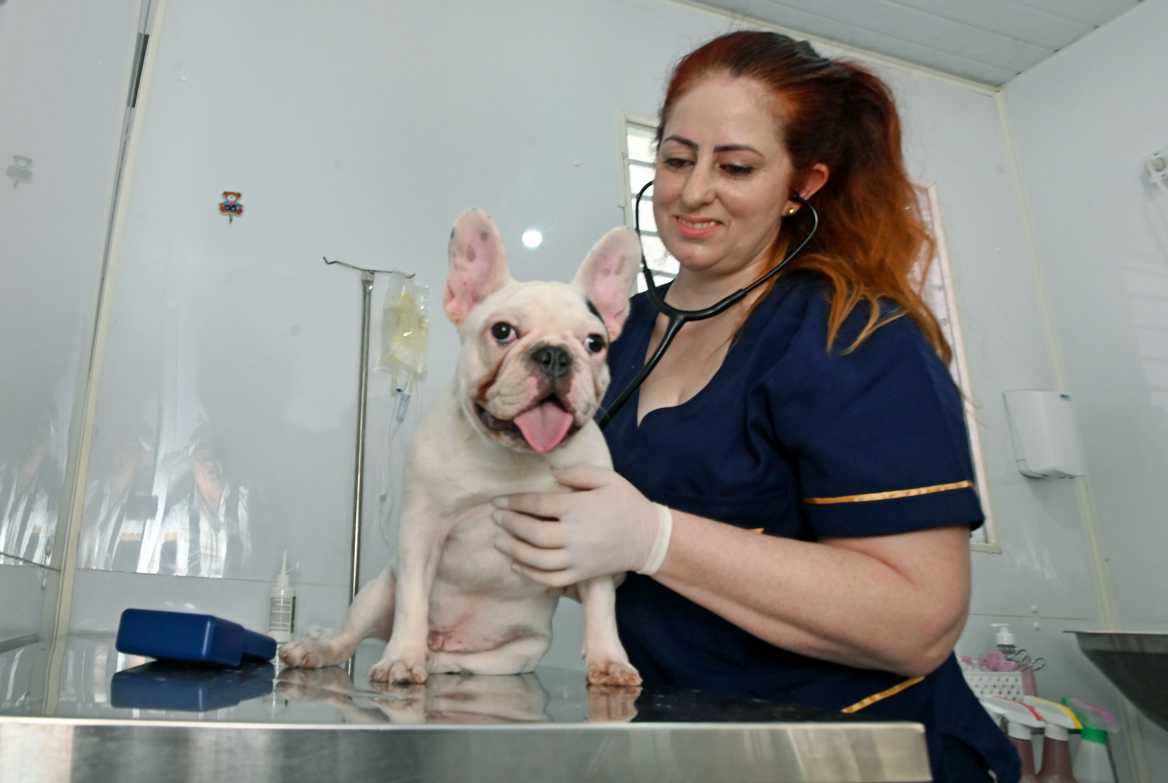 Atendimento é gratuito e por ordem de chegada