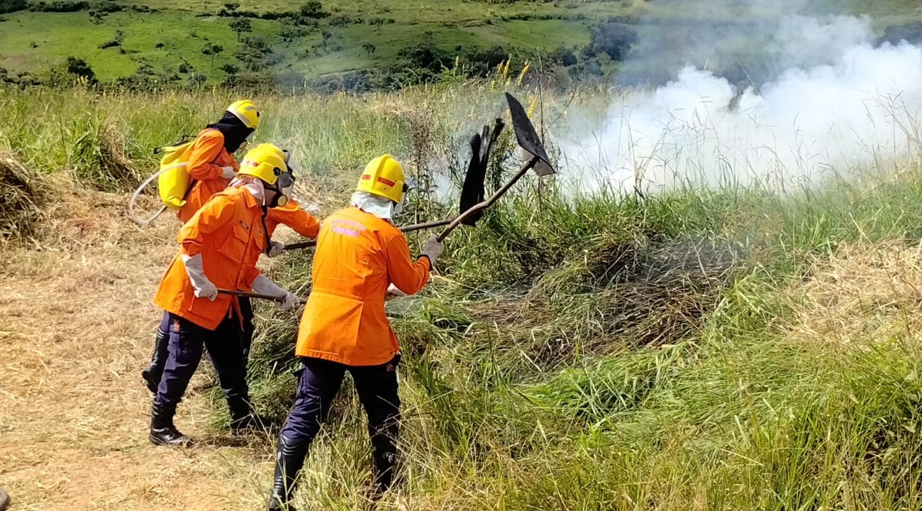Divulgação Agentes tiveram que conter incêndio provocado intencionalmente na área do Parque Ecológico